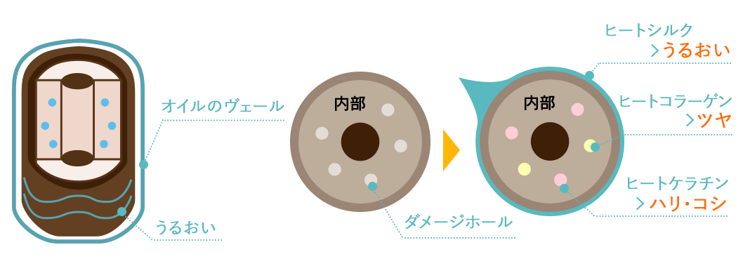 引き締め成分img02