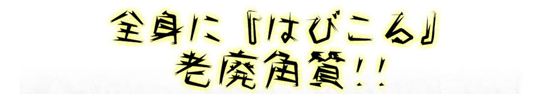 全身に「はびこる」老廃角質！！